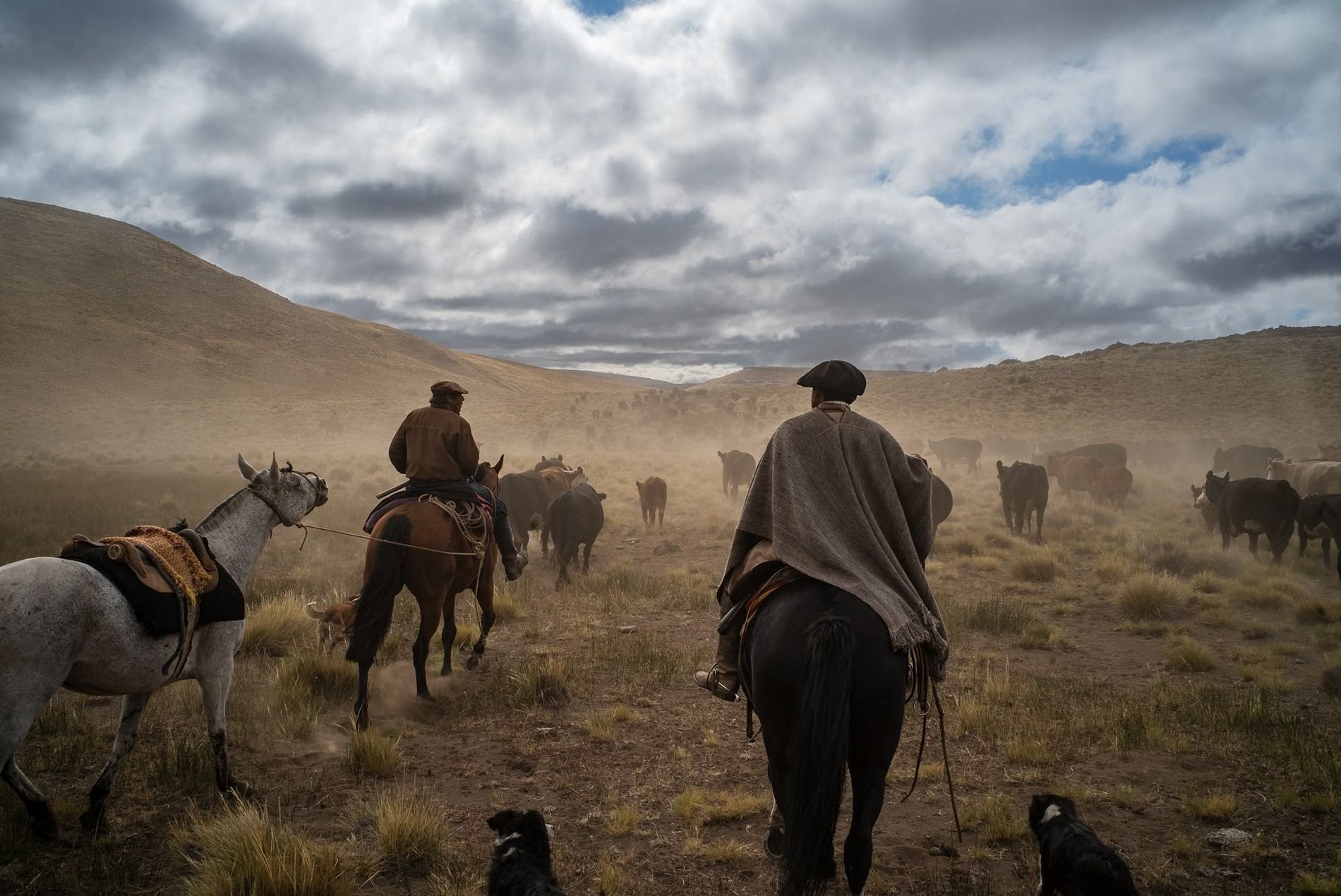 Argentina to Discover